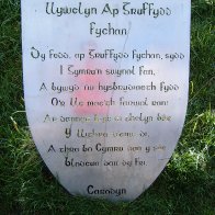 Plaque