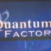 Quantum Factor