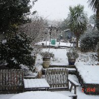 snow in my garden feb 2 2009