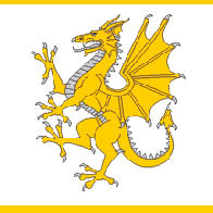 Glyndwr battle flag