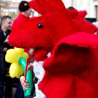 St David's Day Parade. Cardiff 2009