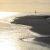 Barmouth Estuary