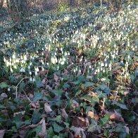 Image016[1]