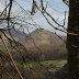 Castell Dinas Bran