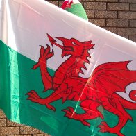 Welsh Flag Seller