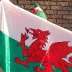 Welsh Flag Seller