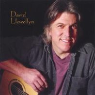 "David Llewellyn" by David Llewellyn