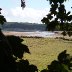 Estuary at Abercowen