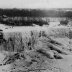 American Falls in Niagara C1911