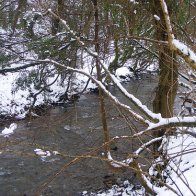snow on the riverbank