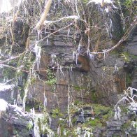 Icicles on a rockface