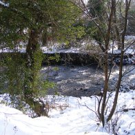 snowy riverbank