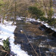 snow on the riverbank