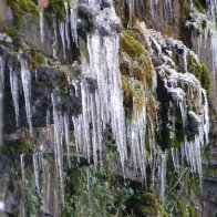 Icicles close up