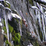 Icicles close up