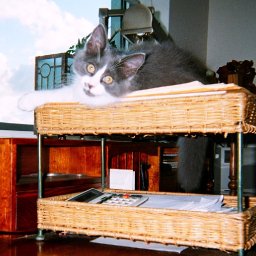 temp_ning_photo_file.jpg