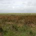 View from Llandimore