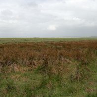 View from Llandimore 1