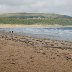 Oxwich Bay