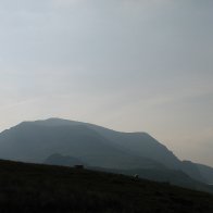 Snowdonia Sheep