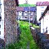 July 1ST 2009 024