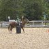 Hailey the future barrel racer