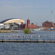 Cardiff Bay from water taxi