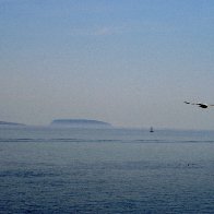 Flat Holm and Steep Holm