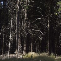 big creek pano