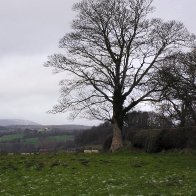 At the Border of Cheshire and Fkintshire