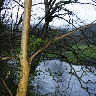 Betwys y Coed looking West