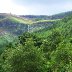 The Falls at Blaencwm