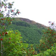 Craggs on Mynydd Tynewydd