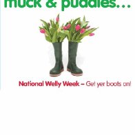 wellies poster cropped