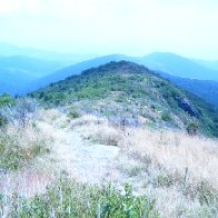 up around black balsam knob