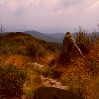 art loeb trail near tenet mountain