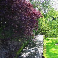 Nant Dar in Treorchy Library Grounds