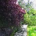 Nant Dar in Treorchy Library Grounds