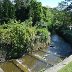 Cascade at Roath Park