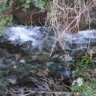 Tintagel Waterfall 6