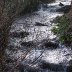 Tintagel Waterfall 5