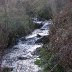 Tintagel Waterfall 4