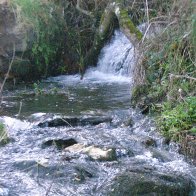 Tintagel Waterfall 3