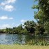 Roath Park - Islands