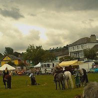 Gwyl Merlod A Chobiau Cymreig 2009