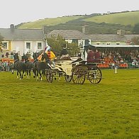 Gwyl Merlod A Chobiau Cymreig 2009