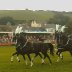 Gwyl Merlod A Chobiau Cymreig 2009
