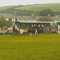 Gwyl Merlod A Chobiau Cymreig 2009