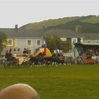 Gwyl Merlod A Chobiau Cymreig 2009