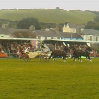 Gwyl Merlod A Chobiau Cymreig 2009